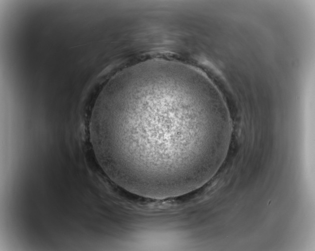 X0000088751159200706071714