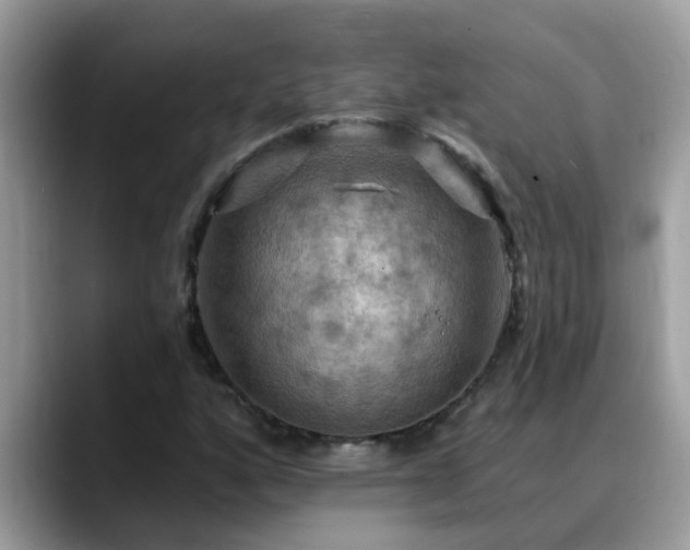 X0000088751160200706071714