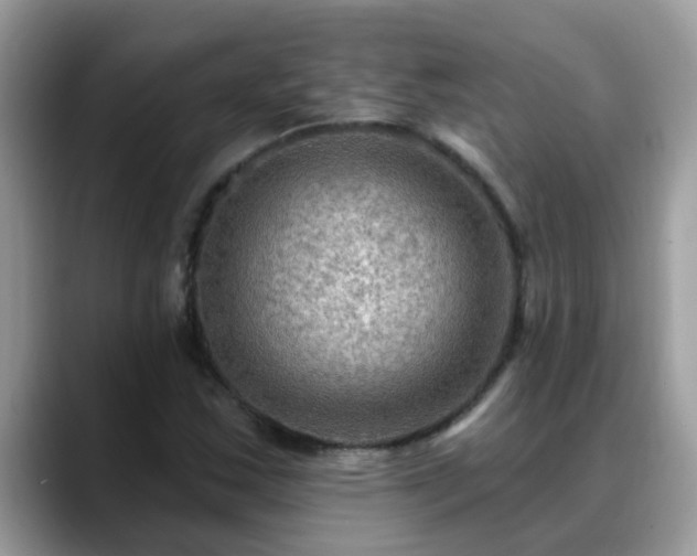 X0000088751163200706071714