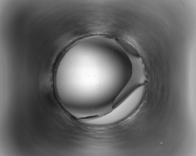 X0000088751164200706071714