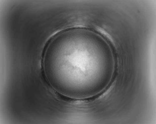 X0000088751166200706071714