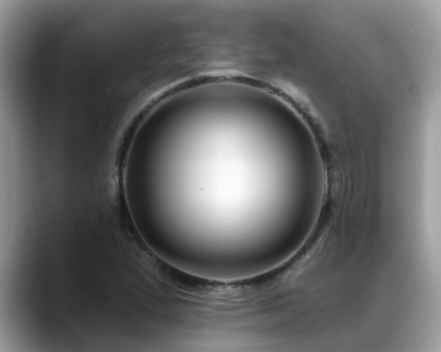 X0000088751167200706071714
