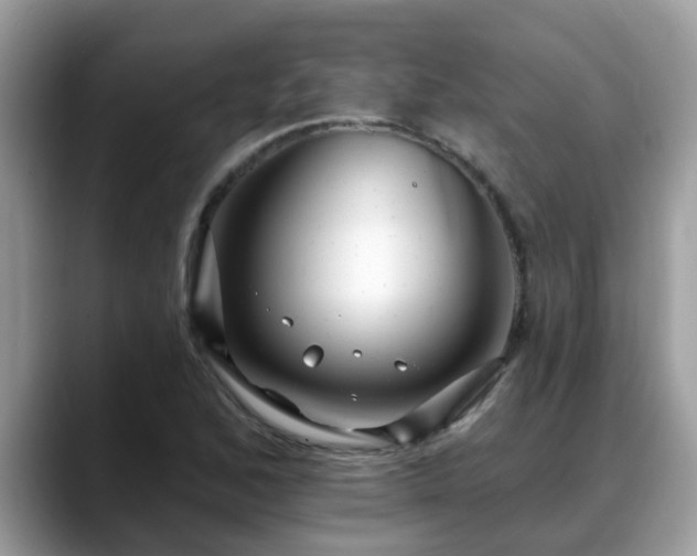 X0000088751168200706071714