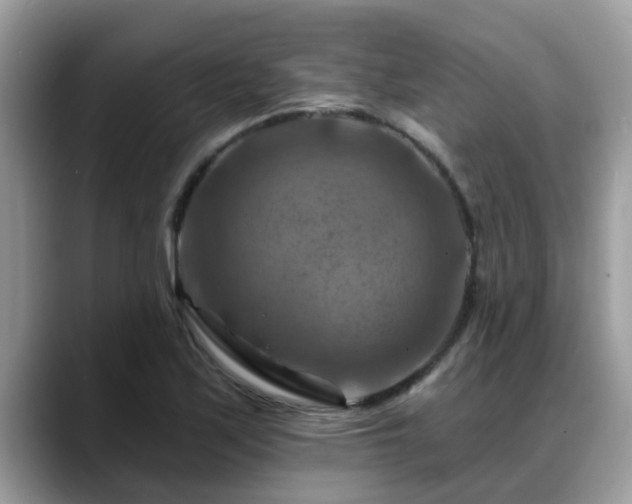 X0000088751171200706071714