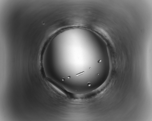 X0000088751172200706071714