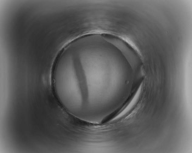 X0000088751173200706071714
