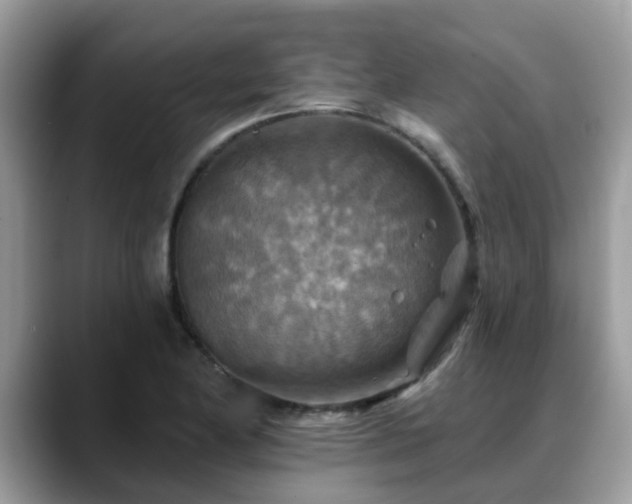 X0000088751174200706071714