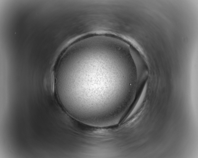 X0000088751175200706071714
