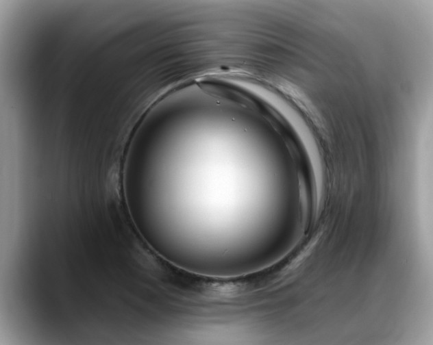 X0000088751177200706071714