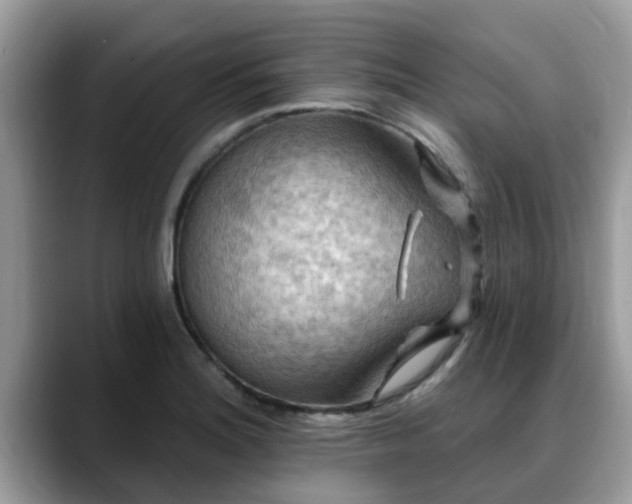 X0000088751180200706071714