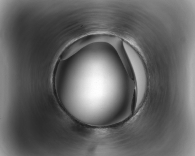 X0000088751181200706071714