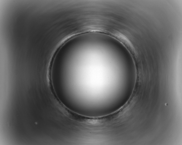 X0000088751182200706071714