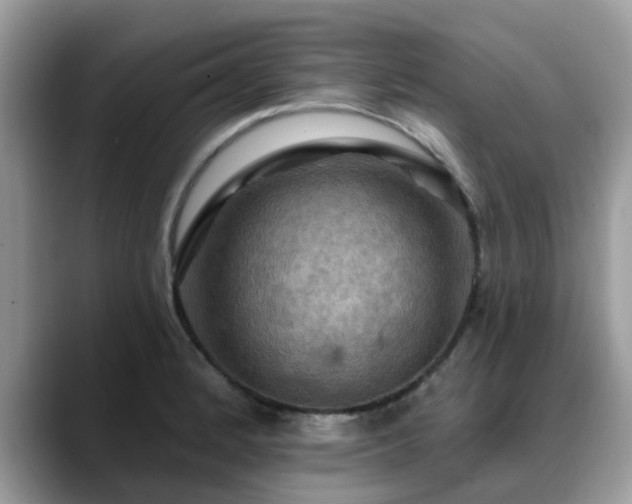 X0000088751184200706071714
