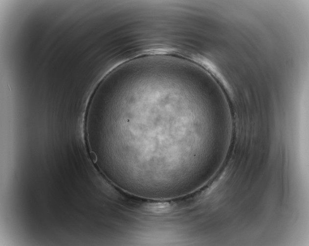 X0000088751186200706071714