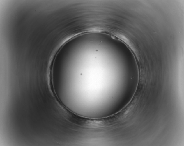 X0000088751187200706071714