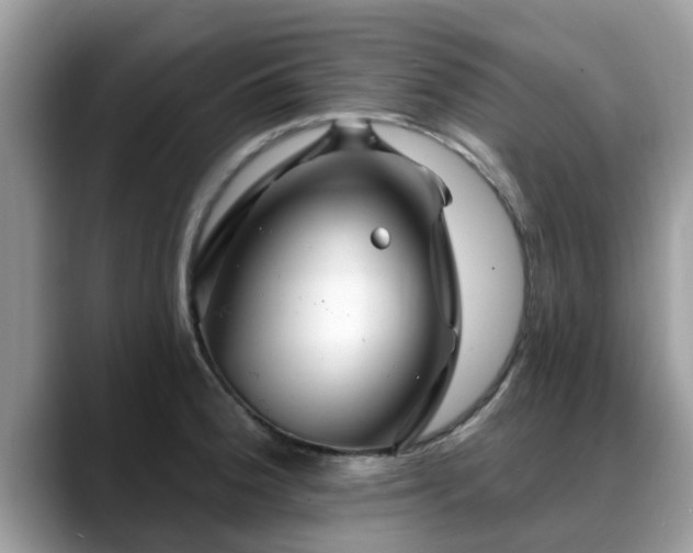 X0000088751188200706071714