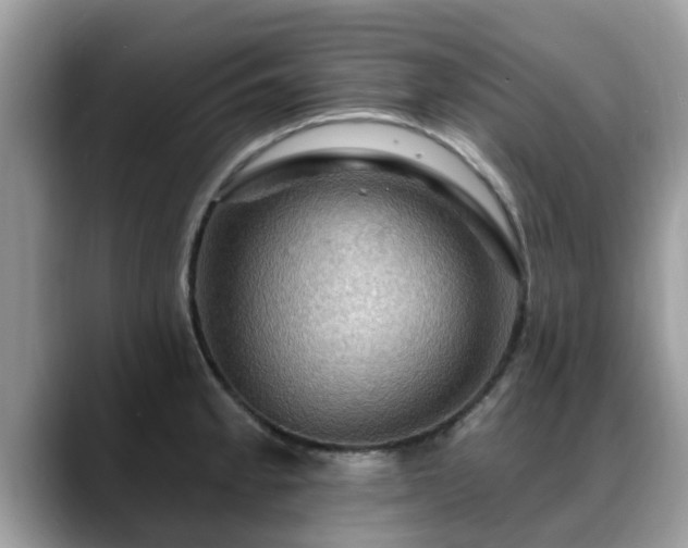 X0000088751189200706071714