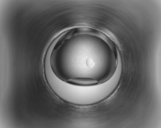 X0000088751192200706071714
