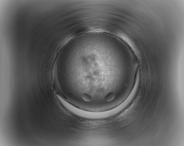 X0000088751193200706071714