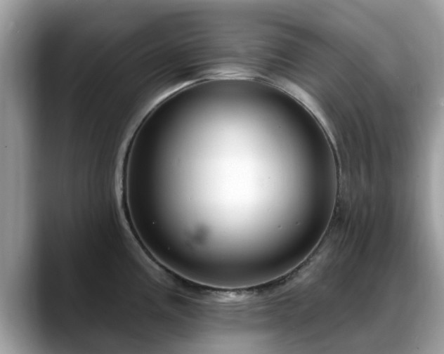 X0000088751195200706071714