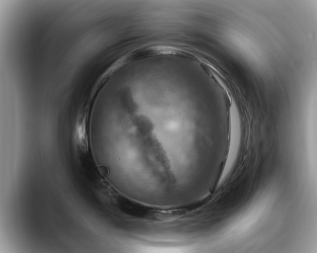 X0000088751198200706071714