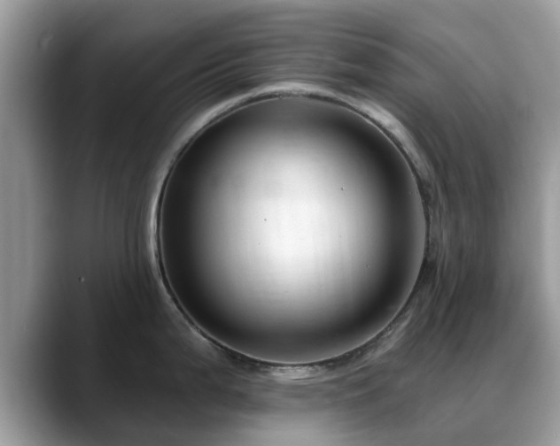 X0000088751199200706071714