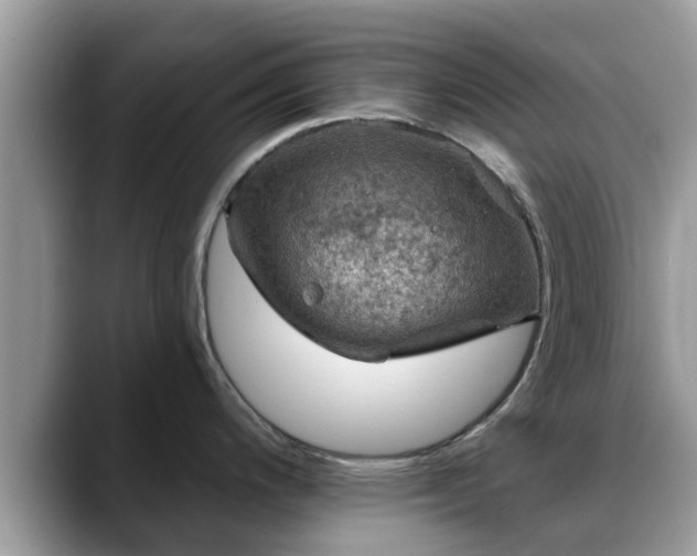X0000088751200200706071714