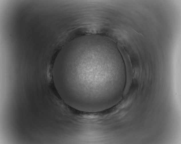 X0000088751202200706071713