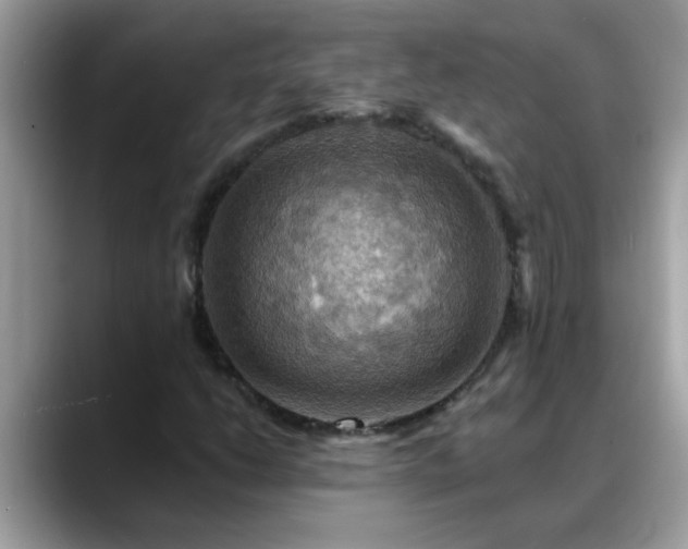 X0000088751206200706071713