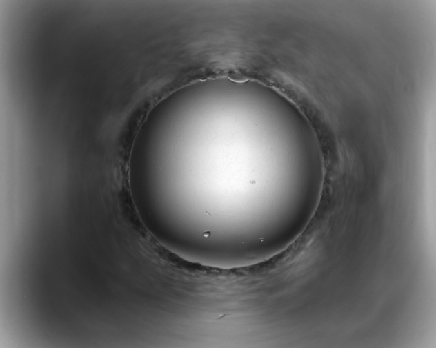 X0000088751207200706071713