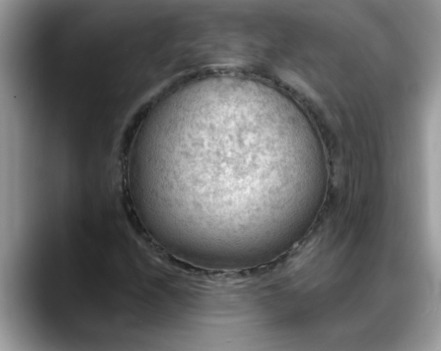 X0000088751208200706071713