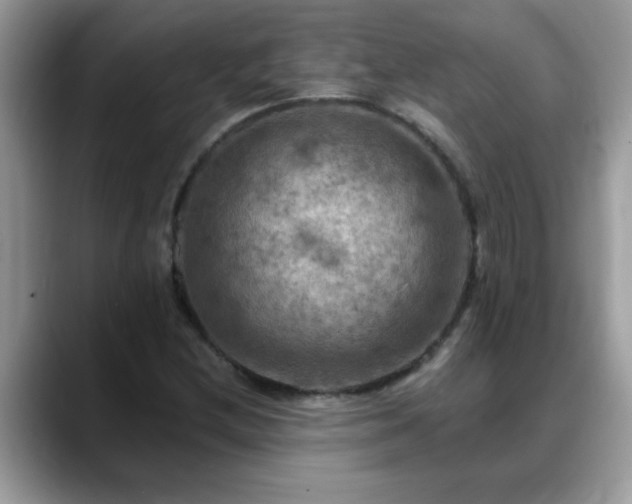 X0000088751212200706071713