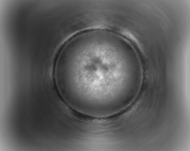X0000088751216200706071713