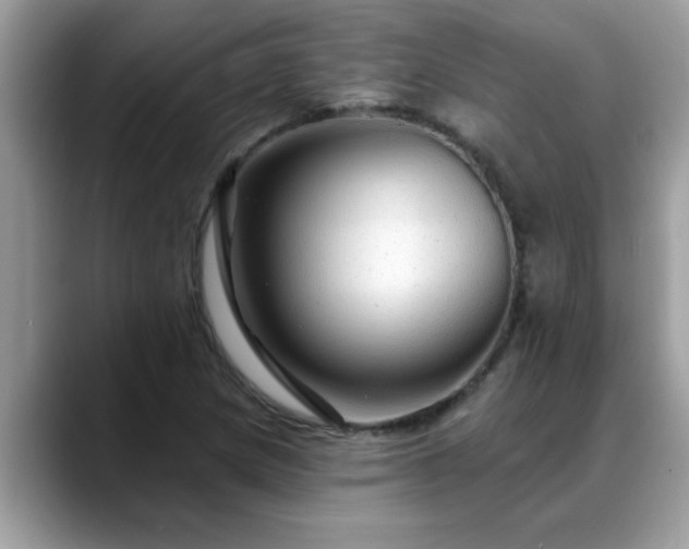 X0000088751217200706071713