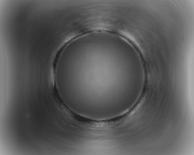 X0000088751219200706071713