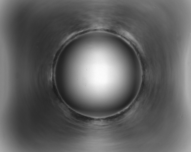 X0000088751220200706071713