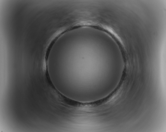 X0000088751221200706071713