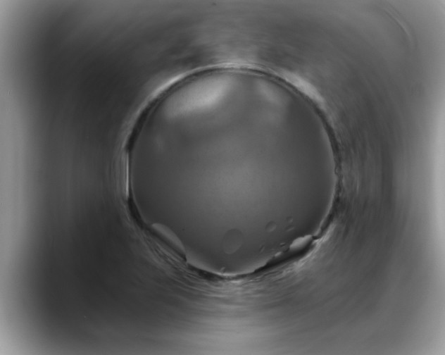 X0000088751223200706071714