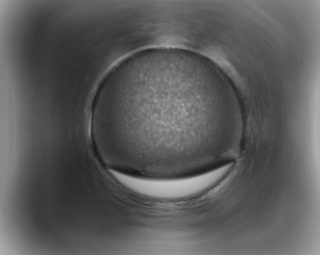 X0000088751224200706071714