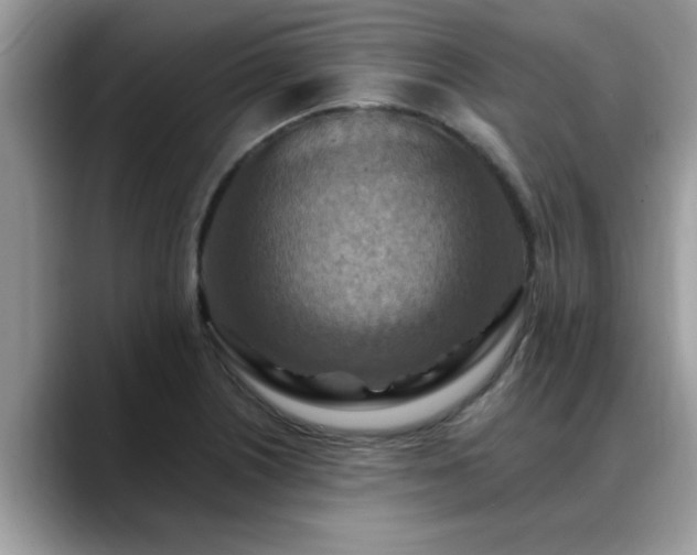 X0000088751226200706071714