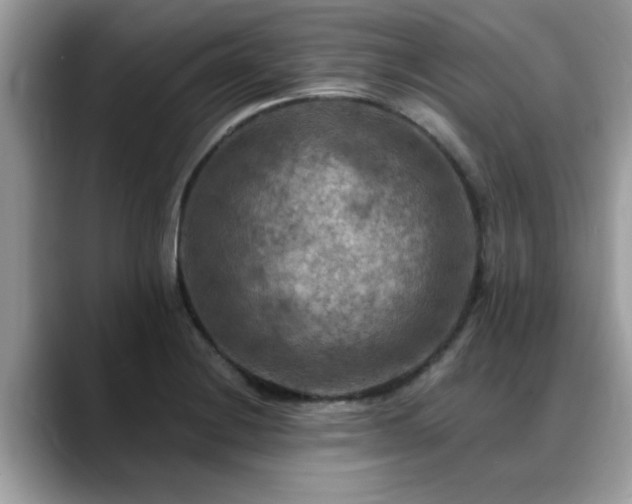 X0000088751228200706071714