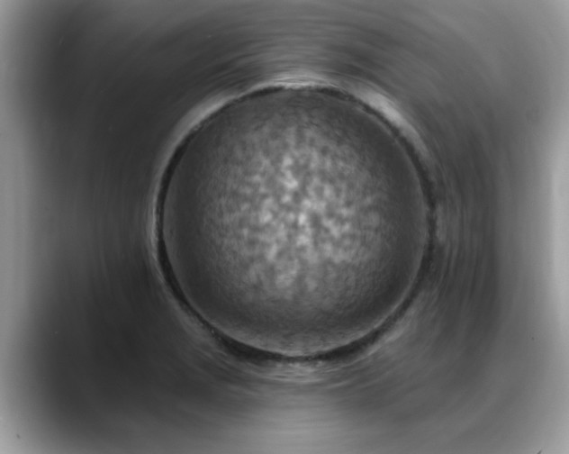 X0000088751229200706071714
