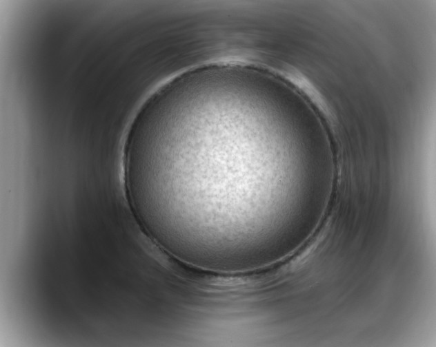 X0000088751232200706071714