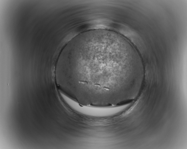 X0000088751233200706071714