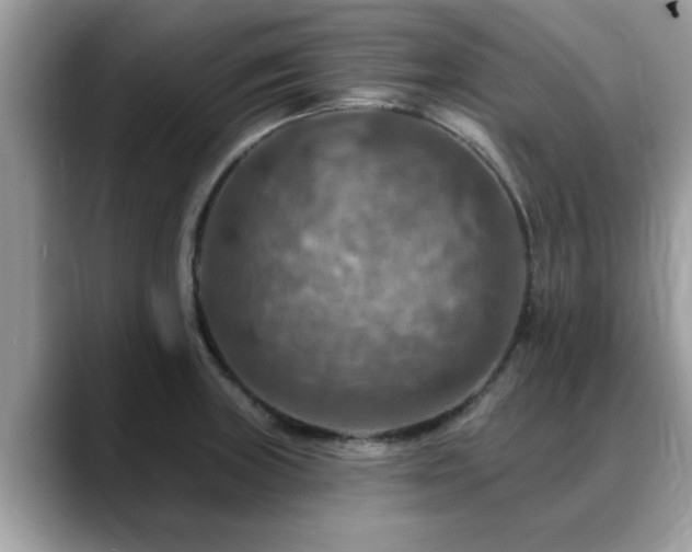 X0000088751235200706071714
