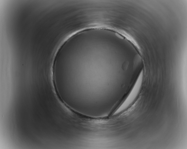 X0000088751239200706071714