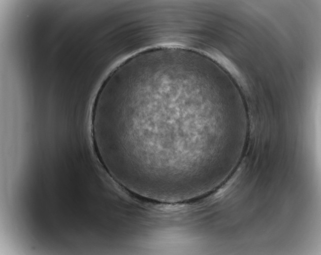 X0000088751240200706071714