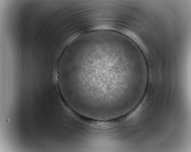 X0000088751241200706071714
