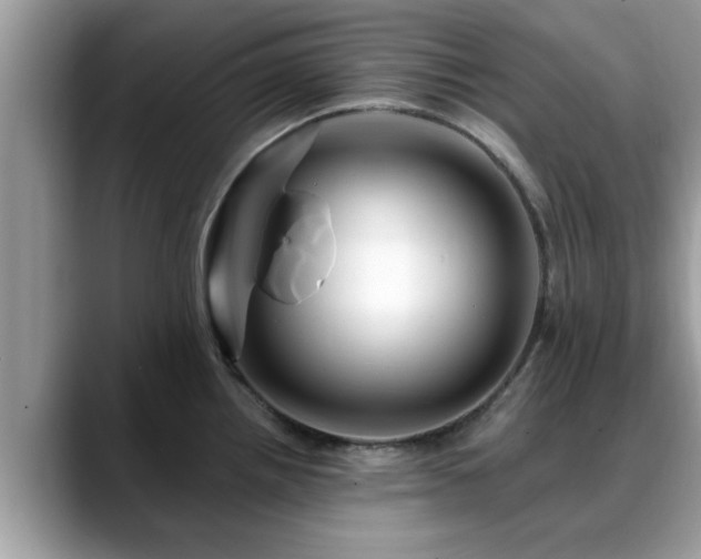 X0000088751242200706071714