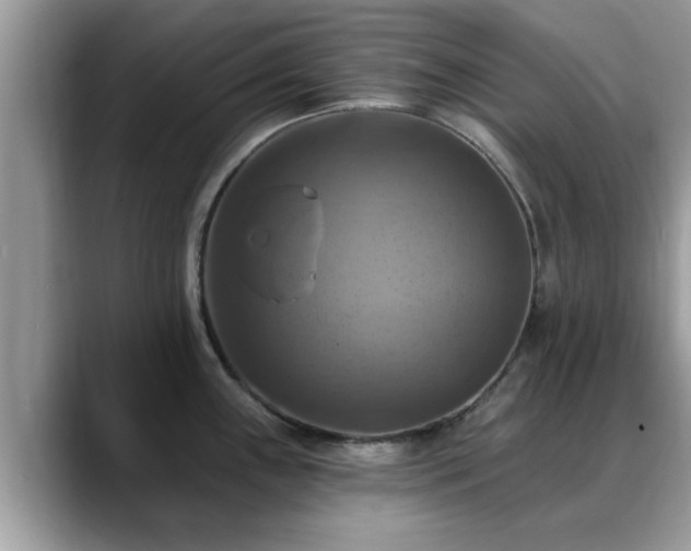 X0000088751243200706071714